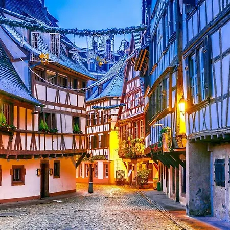 De Standing, 4 Etoiles, Calme, Neuf, Avec Terrasse Et Foret, Strasbourg Sud, Proches Des Commerces, Restaurants, Autoroutes 公寓 奥斯特瓦尔德