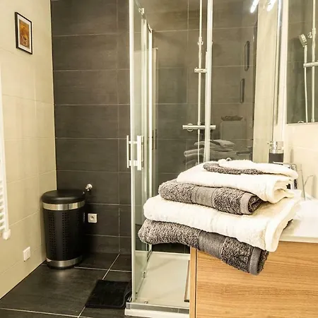 De Standing, 4 Etoiles, Calme, Neuf, Avec Terrasse Et Foret, Strasbourg Sud, Proches Des Commerces, Restaurants, Autoroutes *