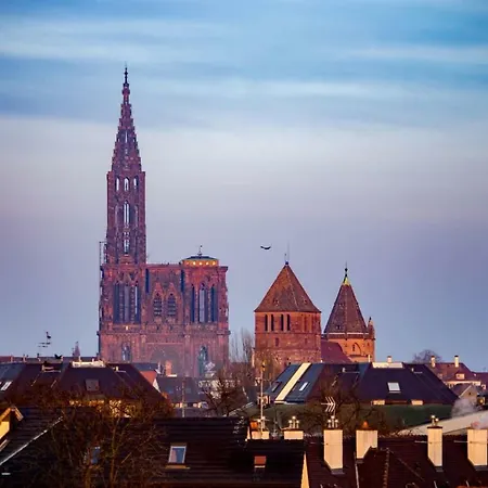 De Standing, 4 Etoiles, Calme, Neuf, Avec Terrasse Et Foret, Strasbourg Sud, Proches Des Commerces, Restaurants, Autoroutes 公寓 *